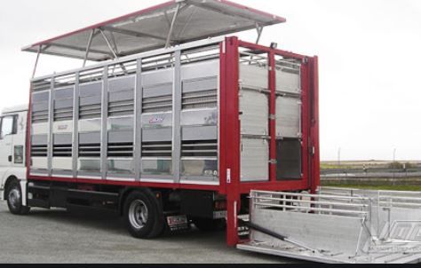 MANEJO DEL CERDO DURANTE EL TRANSPORTE