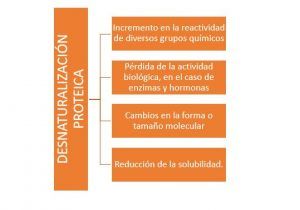 Desnaturalización proteica
