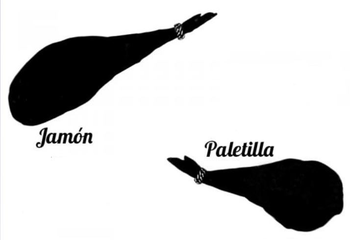 Jamon vs Paletilla